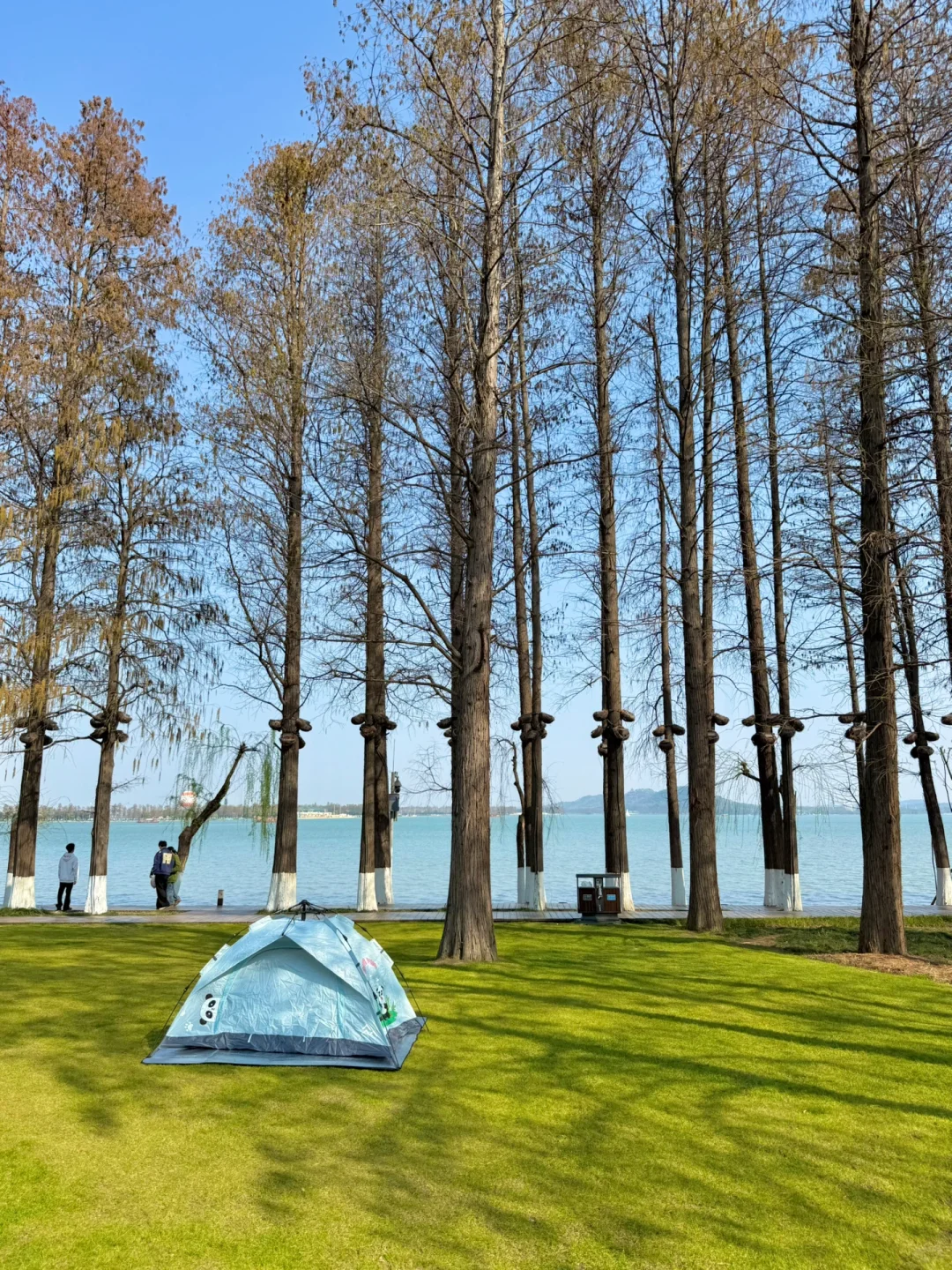 以为东湖磨山已经很美了,直到我去到这里…