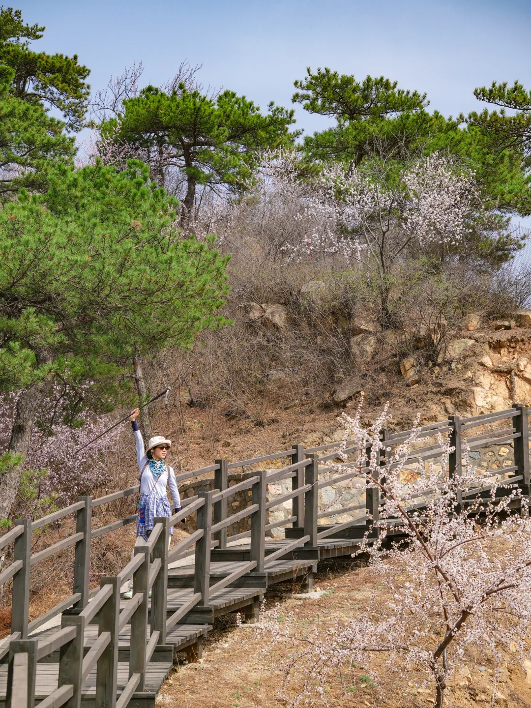 超小众！老少皆宜的无人登山步道美呆了😳！