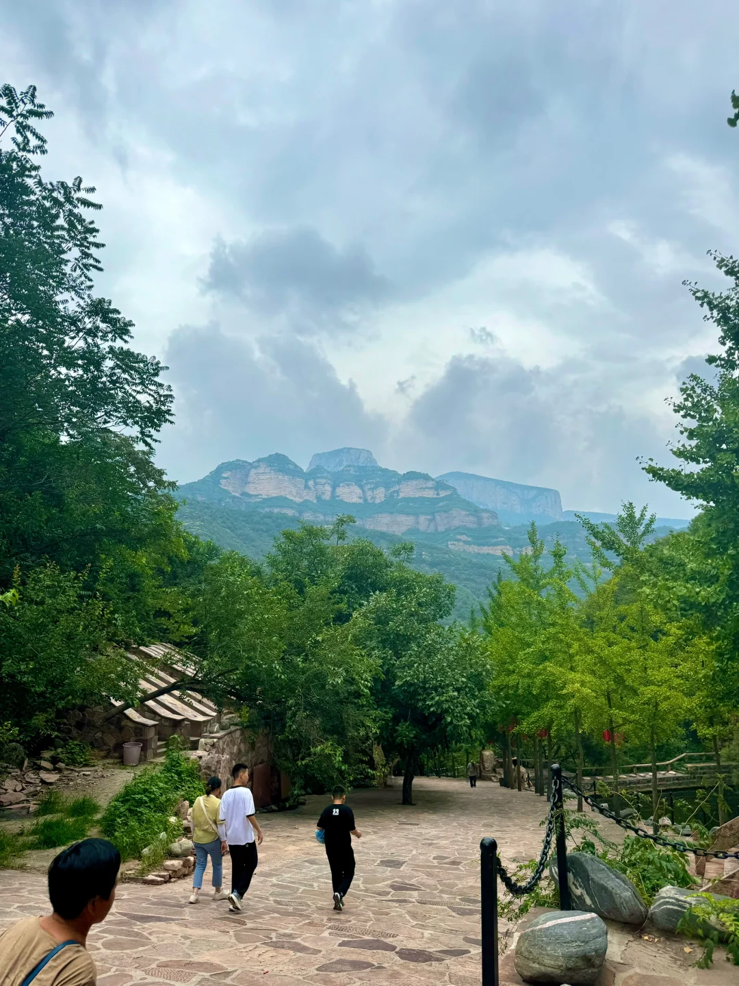 不用下江南🎋就在河北邯郸‼️‼️‼️