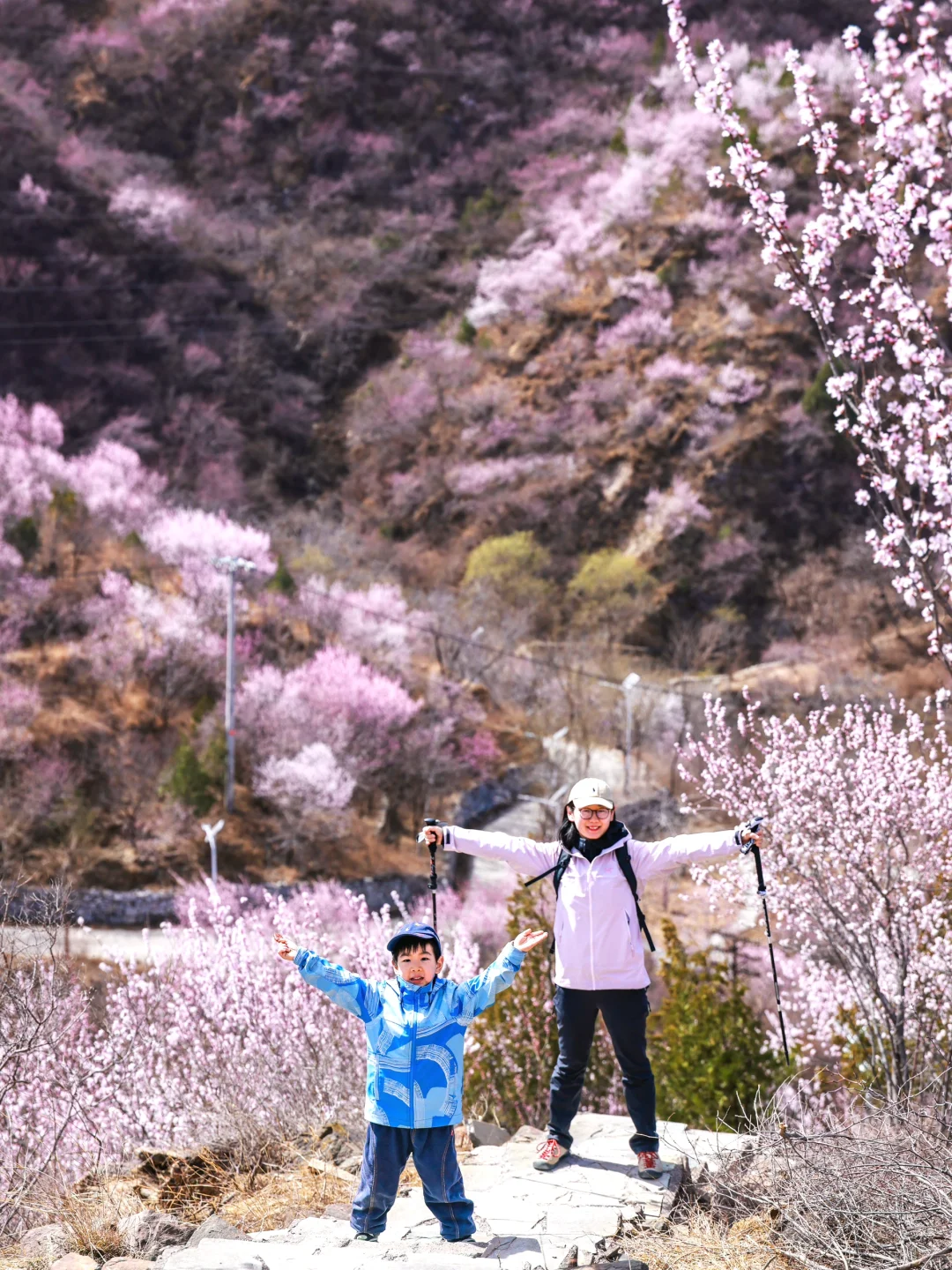 3.20❗️北京蕞适宜全家小众赏花路线宠物友好