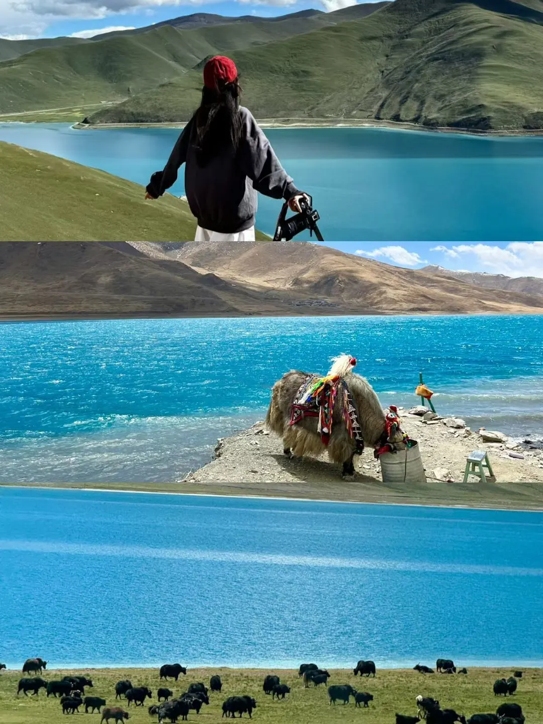 3-5月西藏旅游｜出行必走的3条路线合集❗