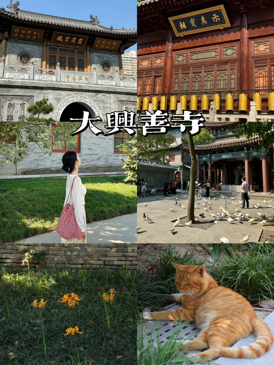 西安🏮一个人旅行4天3夜保姆级攻略(含花费