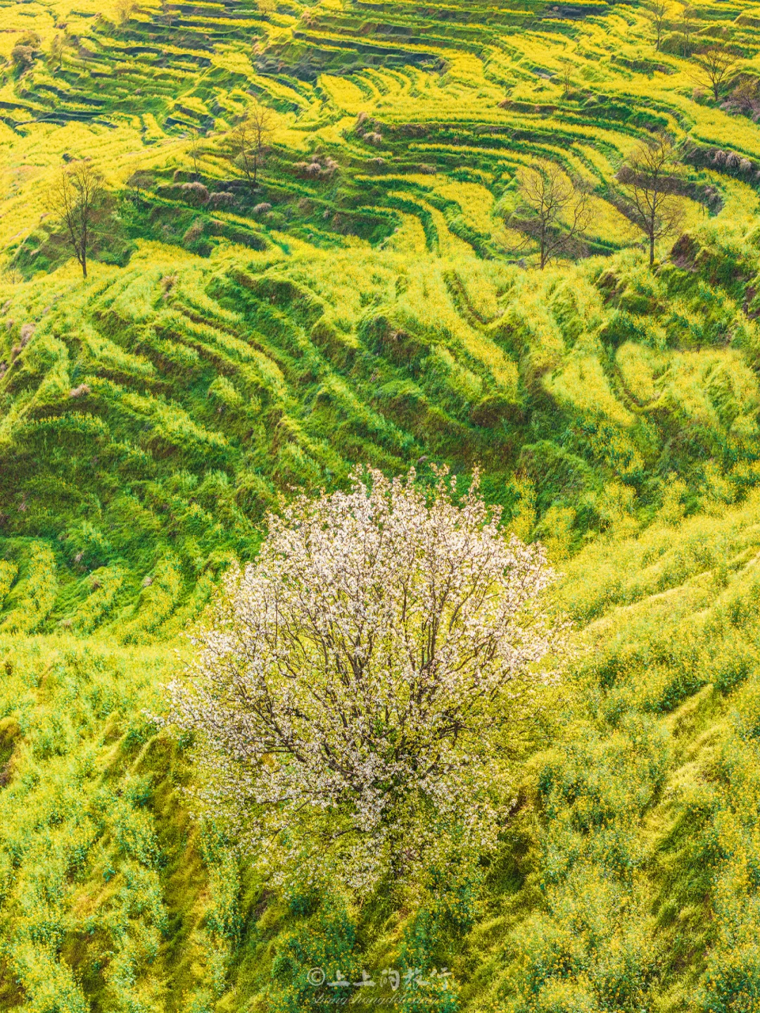 比起景德镇,我更爱这个国家地理推荐的小城…