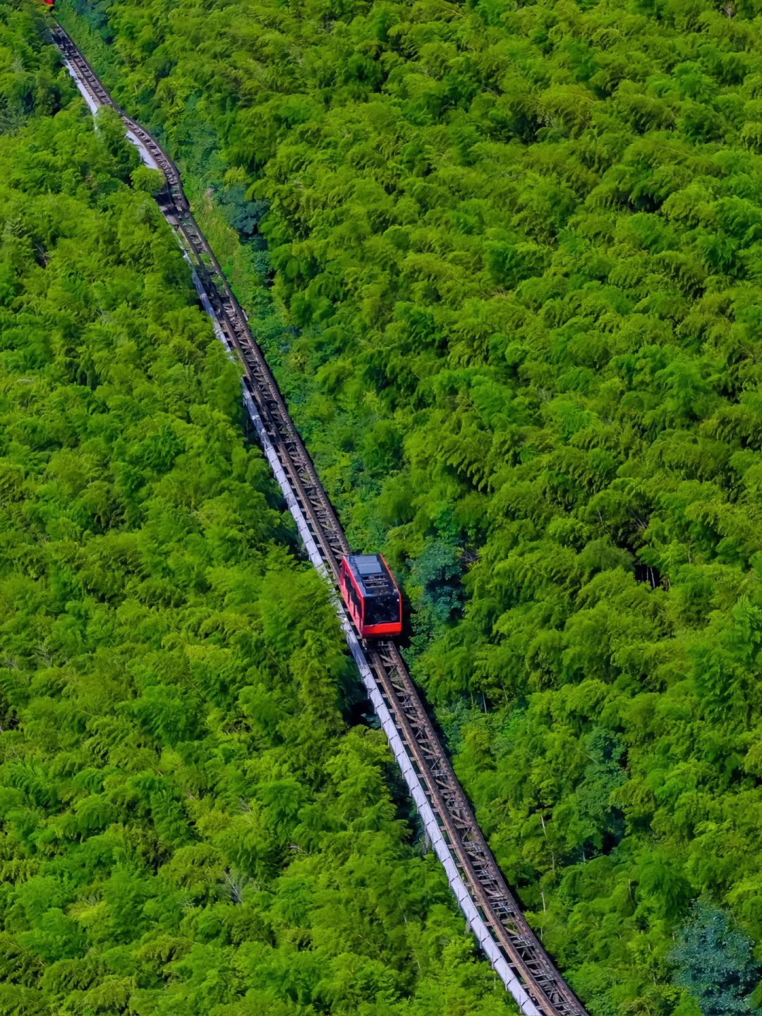 上海🚗2h｜5个天花板级别春游好去处