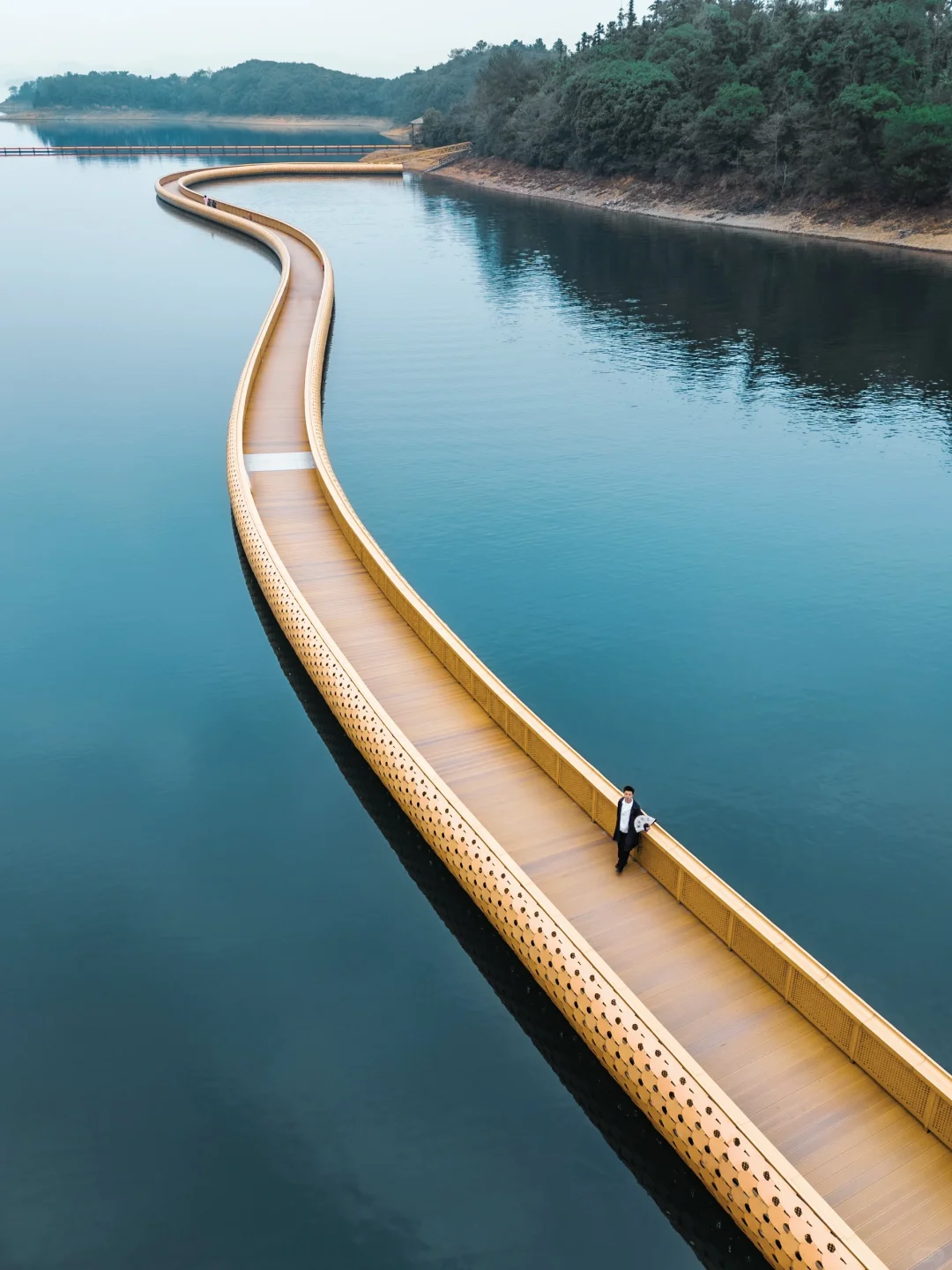八千岛屿包围一棵树🌲江西被低估的宝藏景点