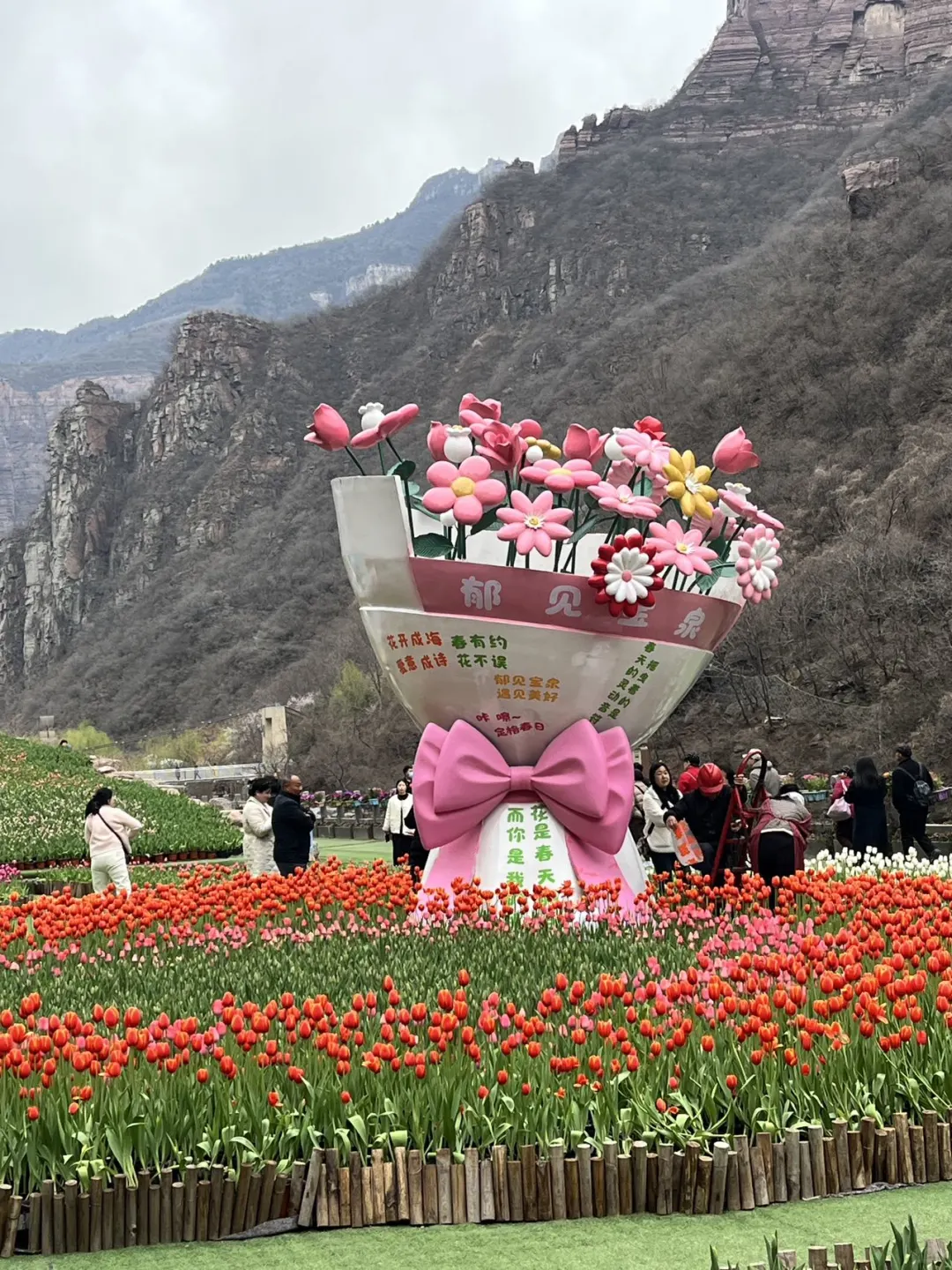 谁懂！河南宝泉藏着春日限定郁金香花海🌷