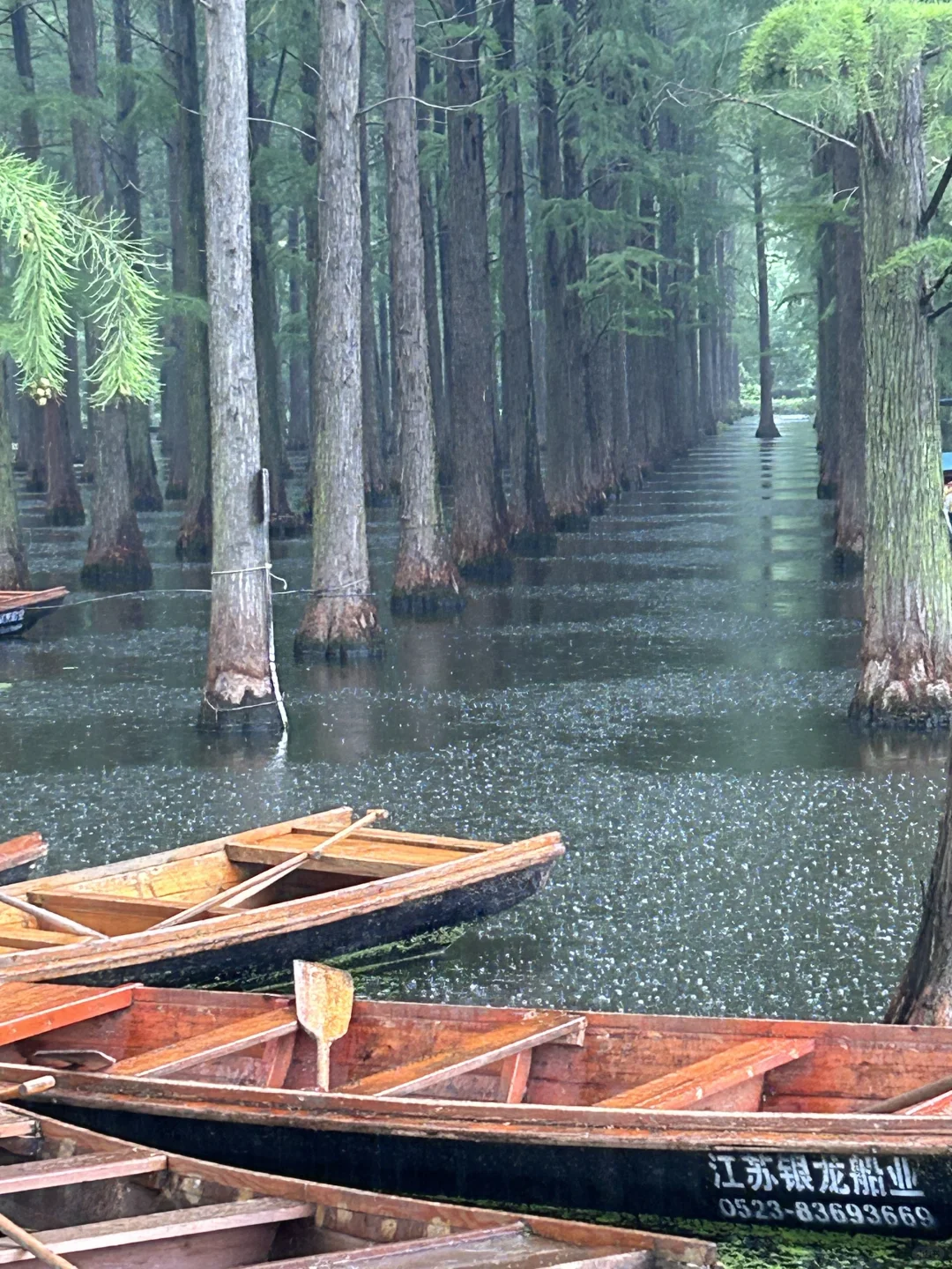 🙋🏻‍♂️来扬州，想给所有人安利的宝藏公园‼️