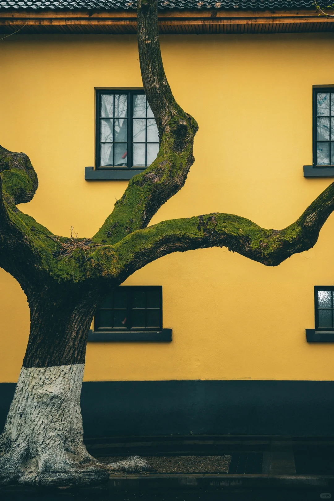 暴走南京24h，我拍到了这🔟个大片机位～