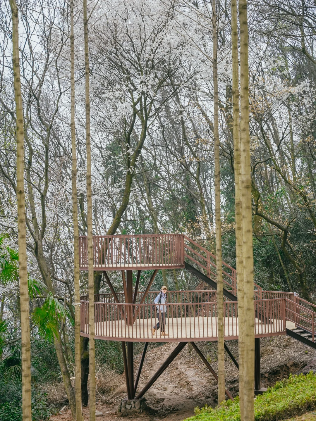 在成都周边！！我唯一想去无数次的徒步路线！！