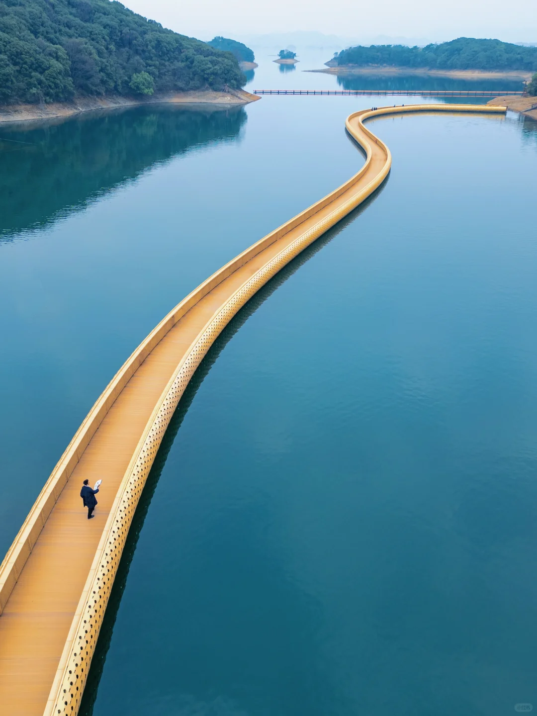 八千岛屿包围一棵树🌲江西被低估的宝藏景点