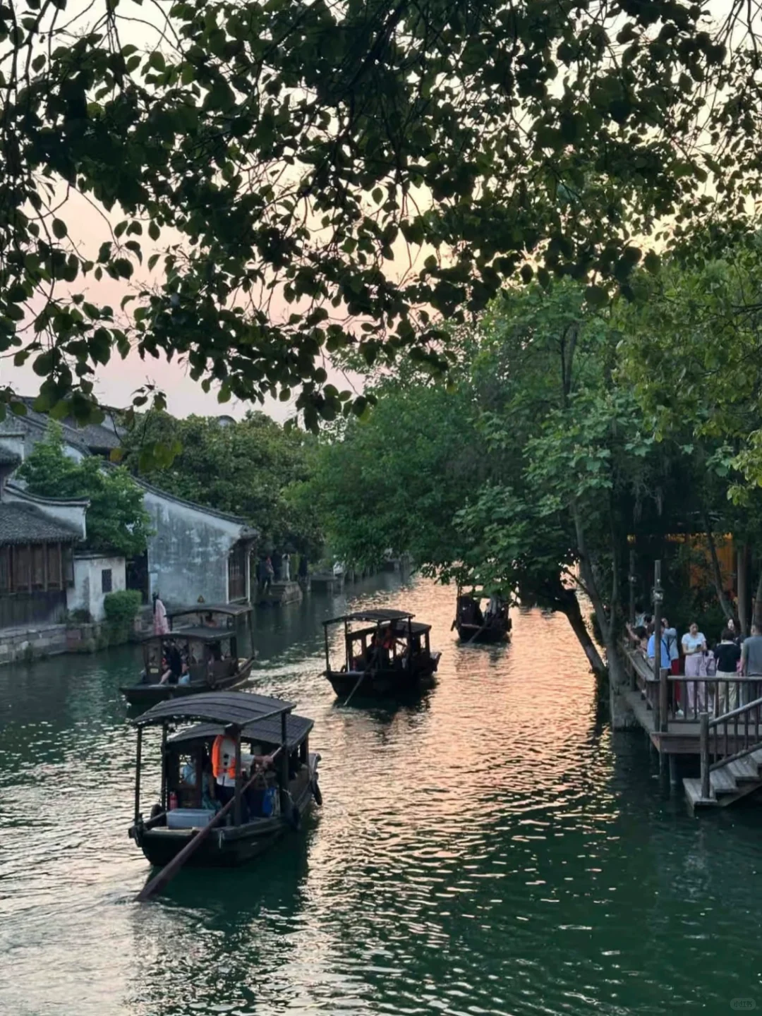 3.20📍乌镇已回！住景区里太爽啦，live直出