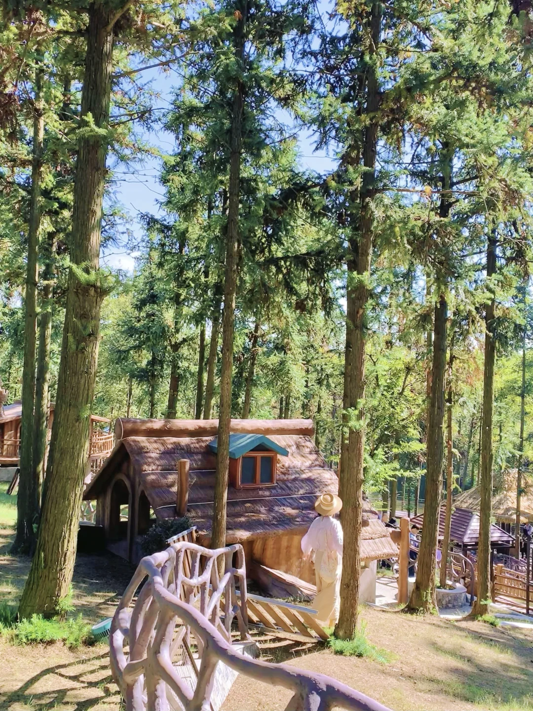 南京！！你美得让我感到陌生。。。