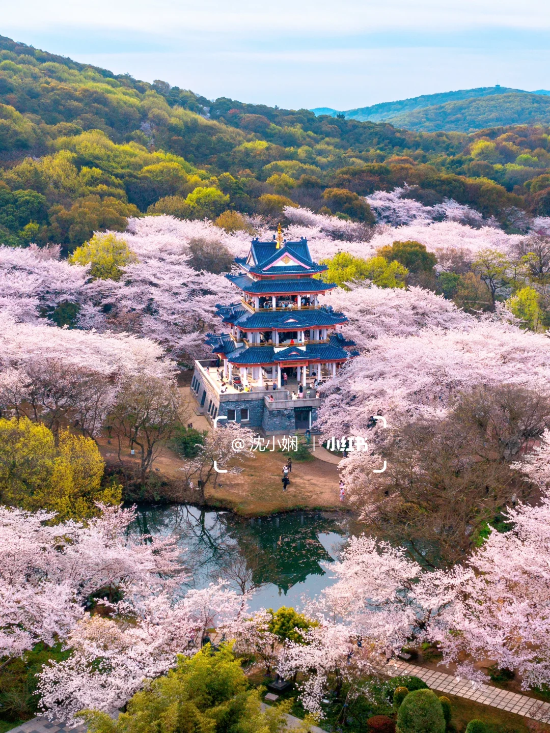 刚从无锡鼋头渚回来，能劝一个是一个‼️