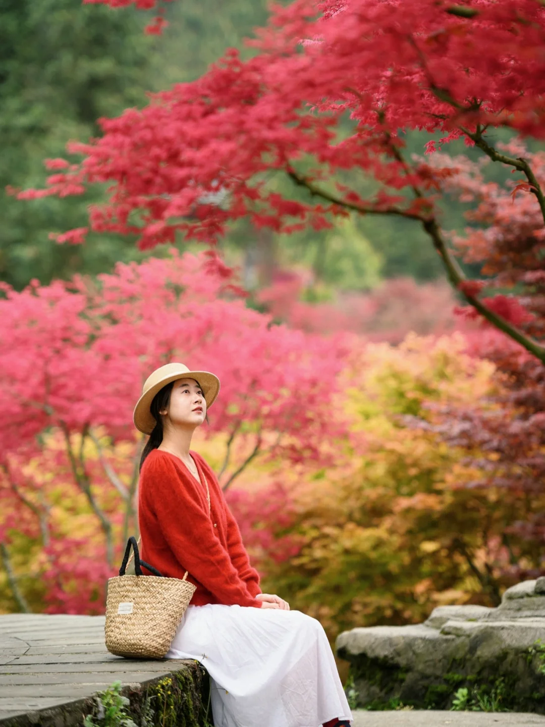 重庆，强烈推荐这个小众地方！油画彩林美绝了