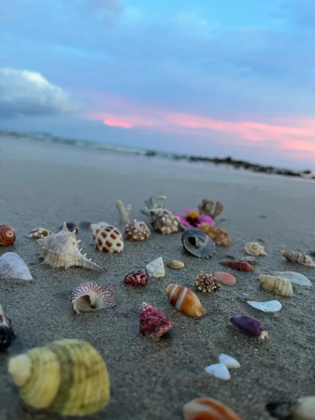 讲真。。。真佩服 6 月去北海玩的😨|