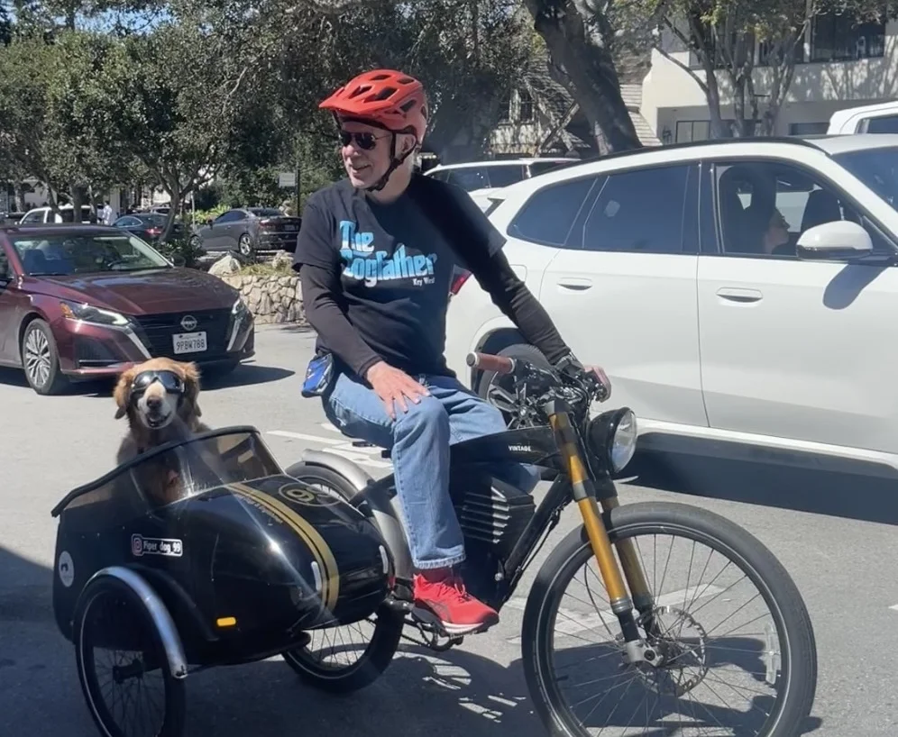 加州平替Hawaii 都给我去Carmel！附超强攻略