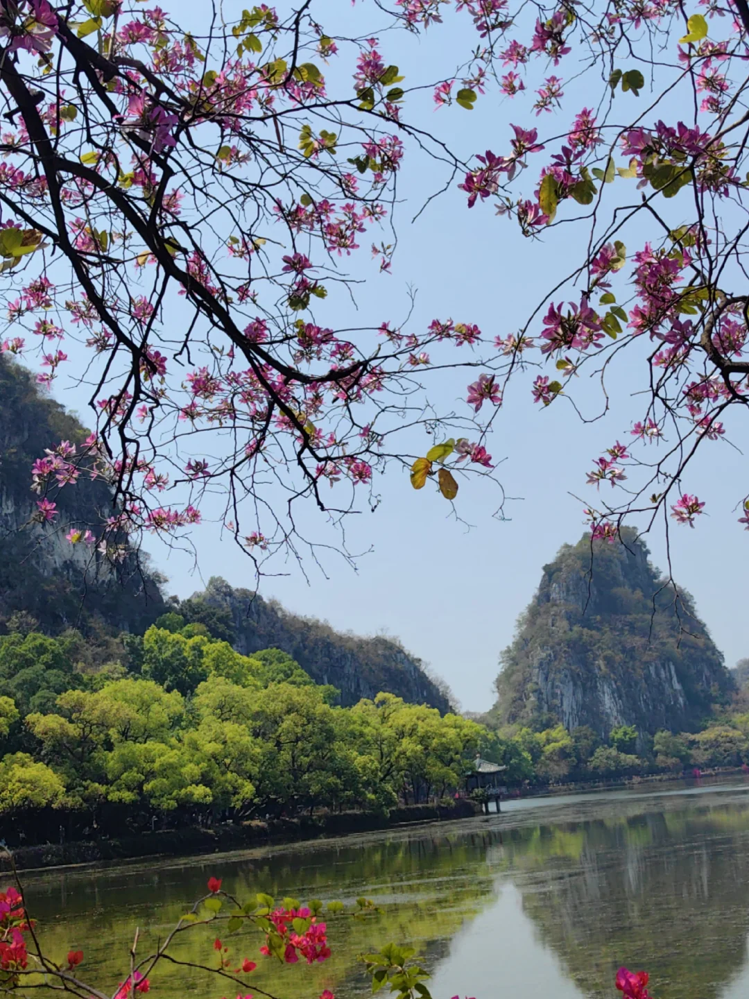 肇庆七星岩免费及优惠政策(2025年)