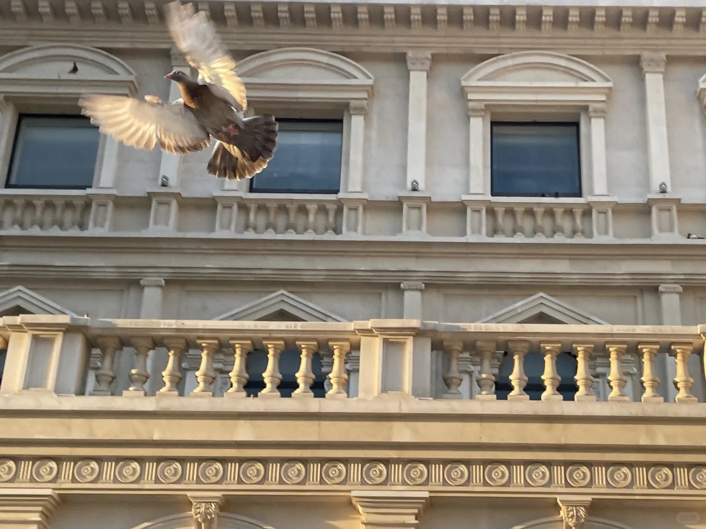 大连免费旅游景点，东港和星海哪个更值得