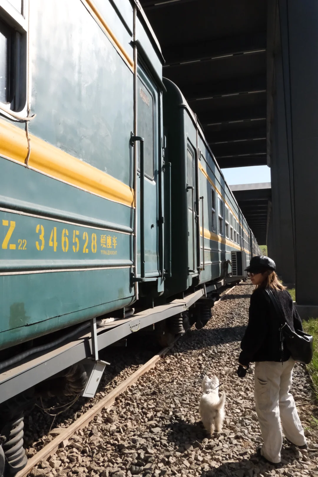 沧州｜带狗下江南第一站 烟火气十足的小城🍲