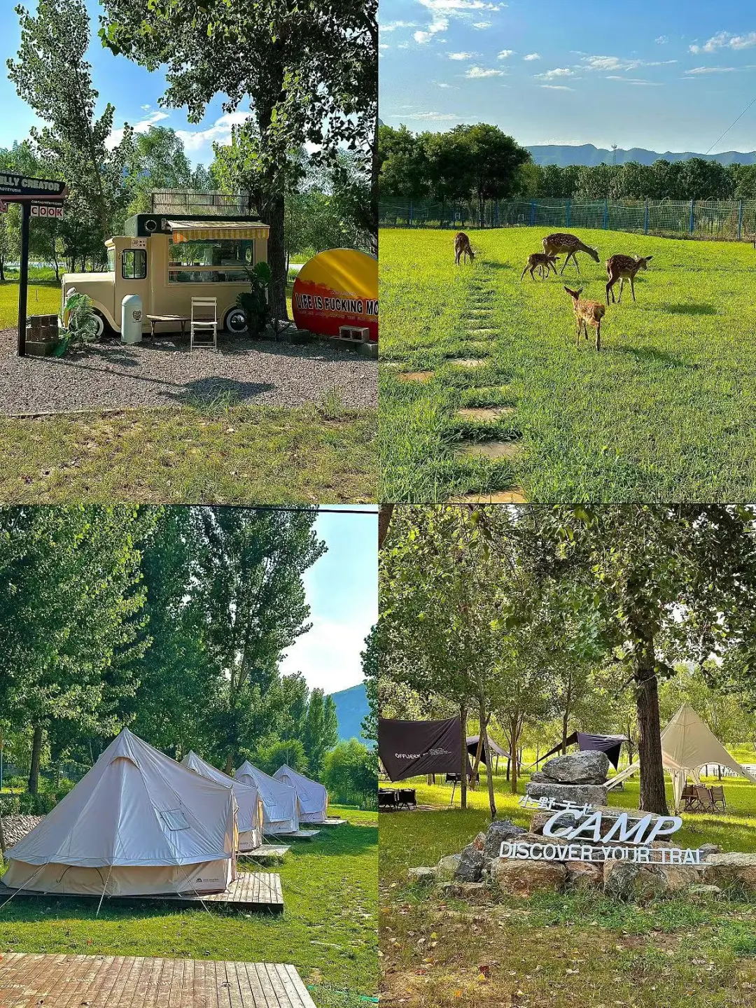 都是美到词穷的存在✔(附地址)