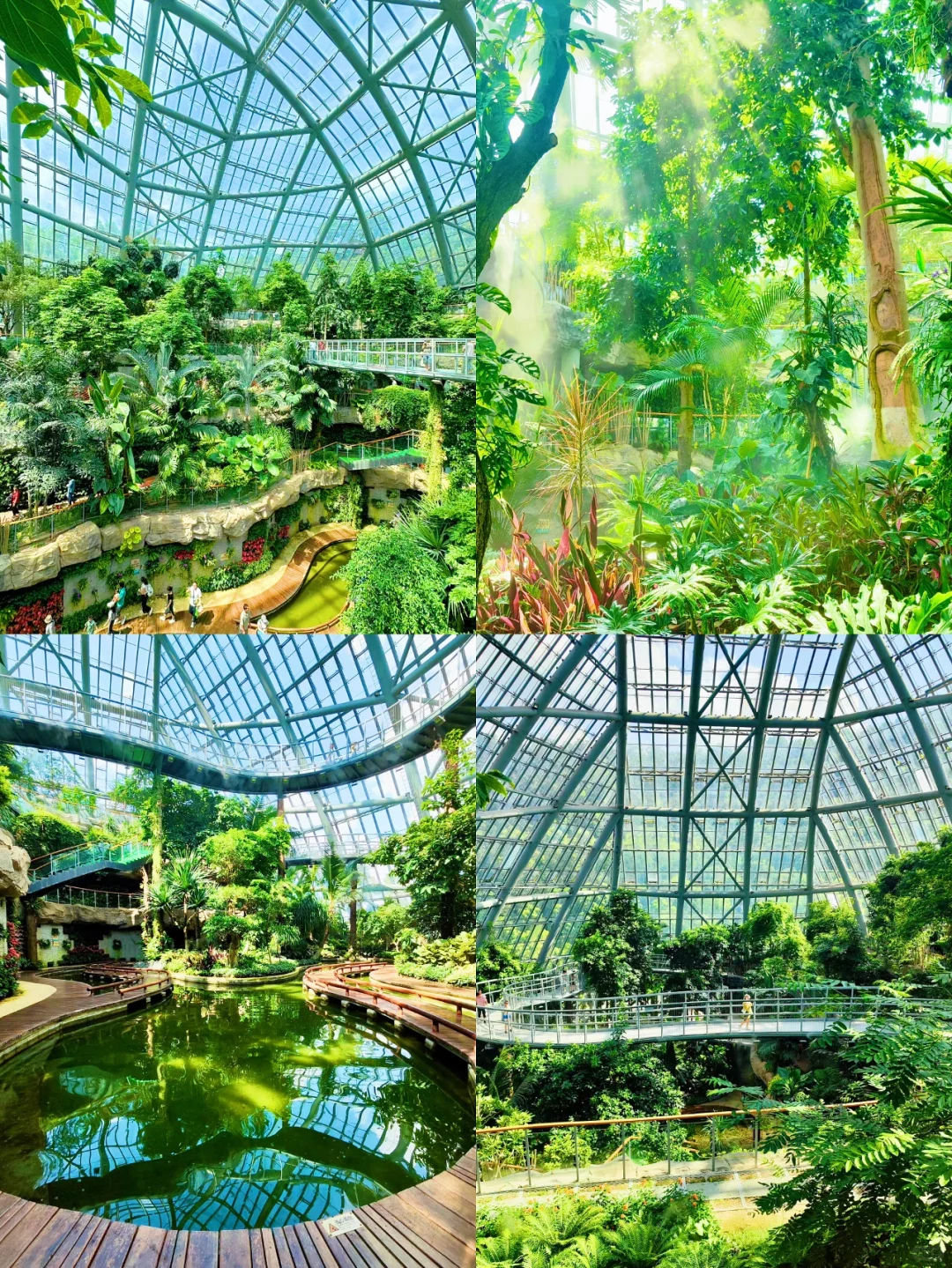 姐妹们超详细✅惠州春季三日旅行好去处🌈