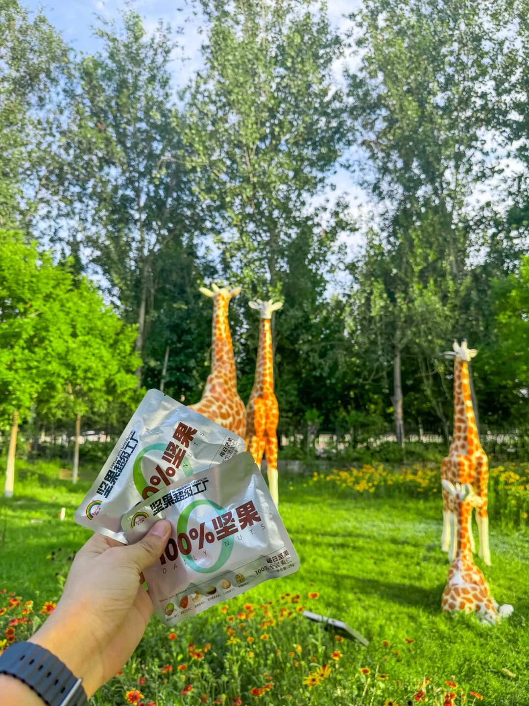 公园20分钟效应·邯郸植物园带来的松弛感🌲