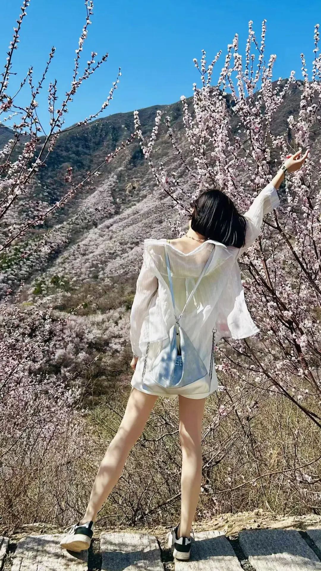 3月22日后花园，这山这花这人间值得❤️