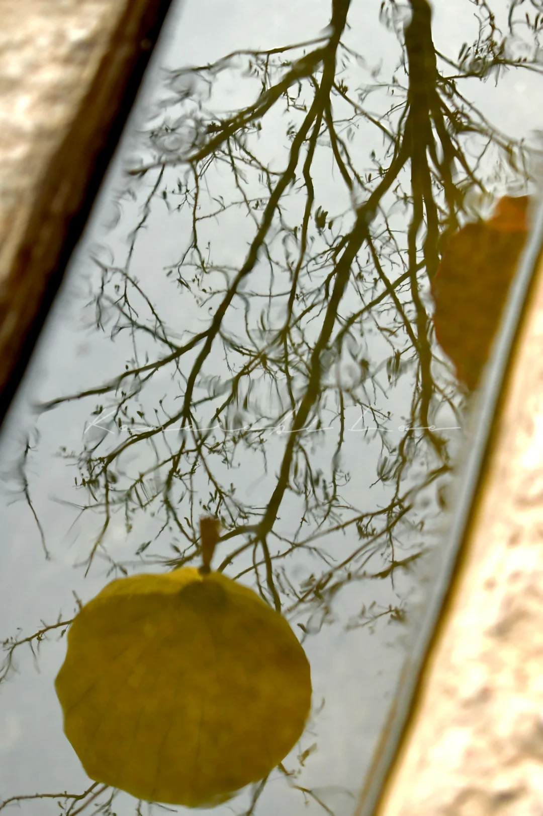 00后毕业在景区工作是什么体验