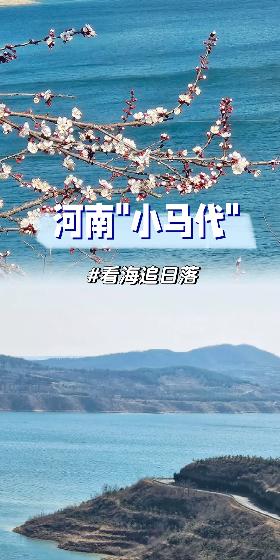 超绝氛围感❗️郑州出发2h，来看海啦～