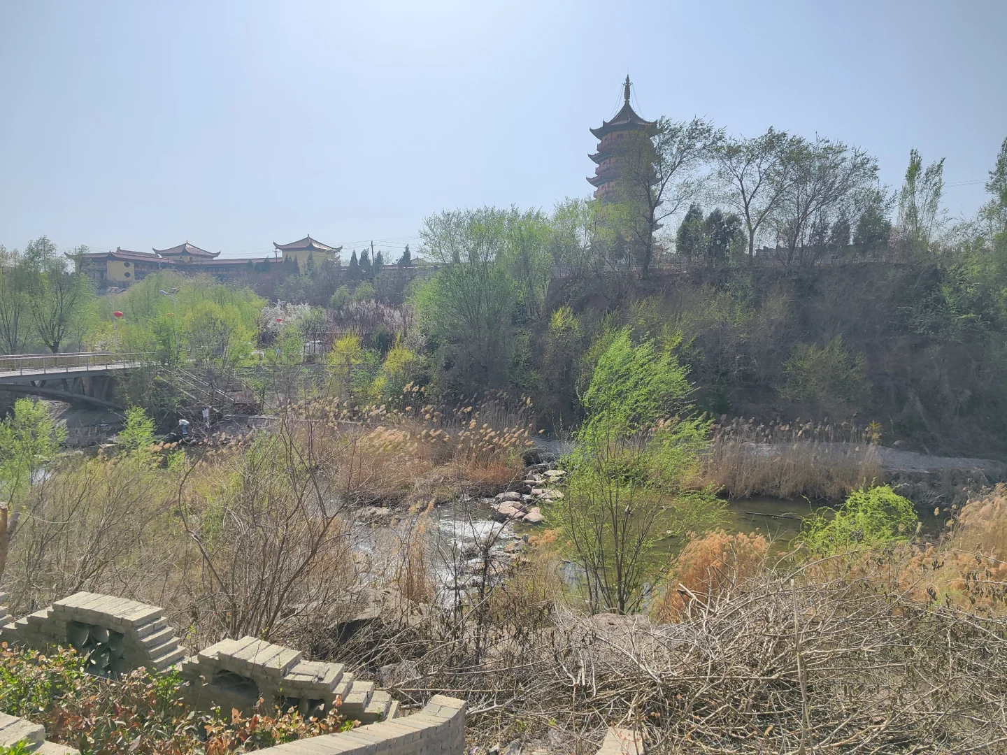 ✨邯郸👣免费露营遛娃的好地方