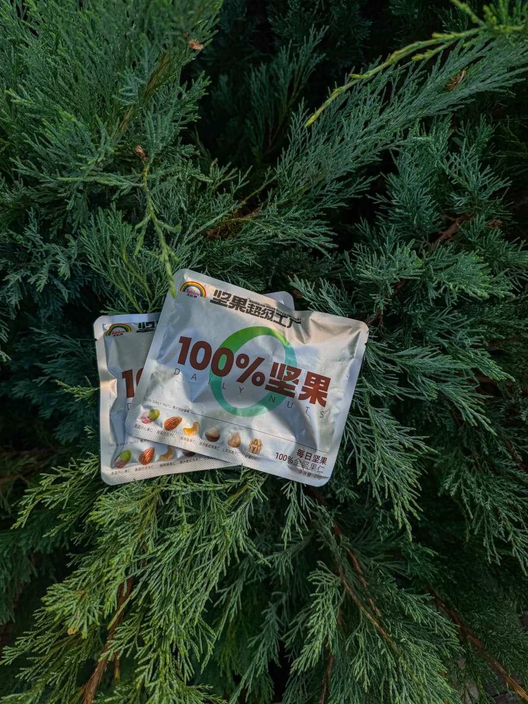 公园20分钟效应·邯郸植物园带来的松弛感🌲