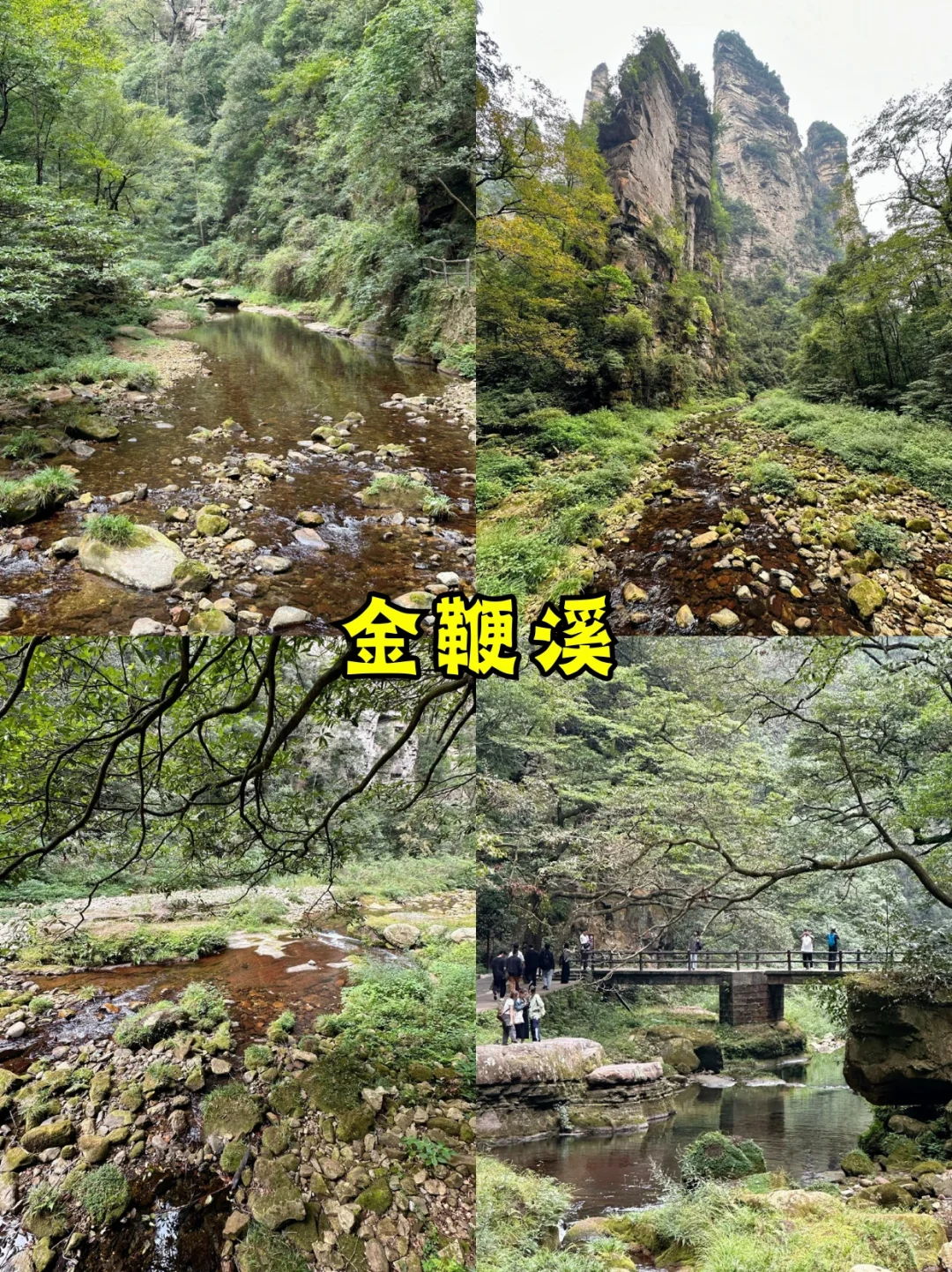 💎人均仅1k+❗张家界3天2晚旅游攻略