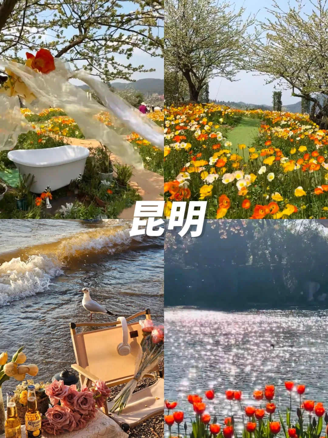 清明赏花游🌸3-4月绝美不踩雷九个城市‼️