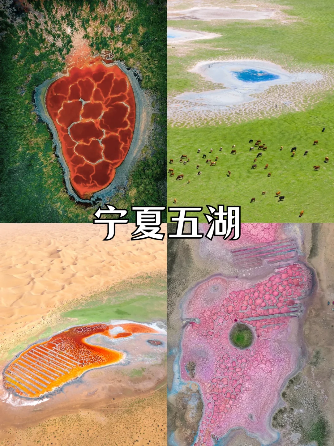 小长假适合去哪？快来看看有没有你计划的吧