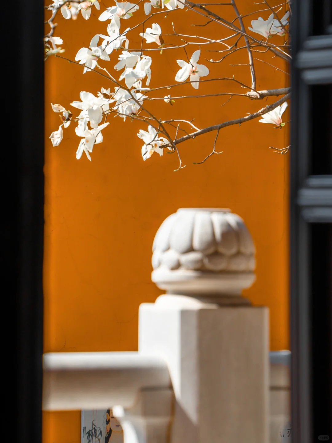 为了这扇窗景,我特地飞了一趟南京来值得吗?