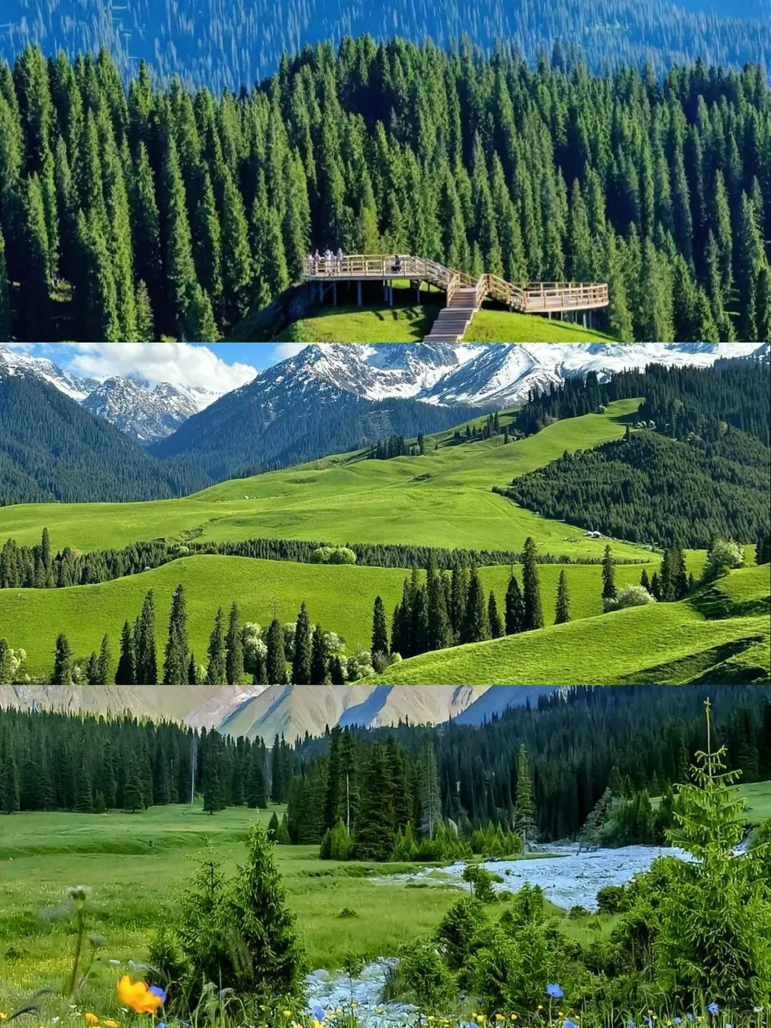 伊犁旅游超全攻略💯不想踩雷看这篇就够了