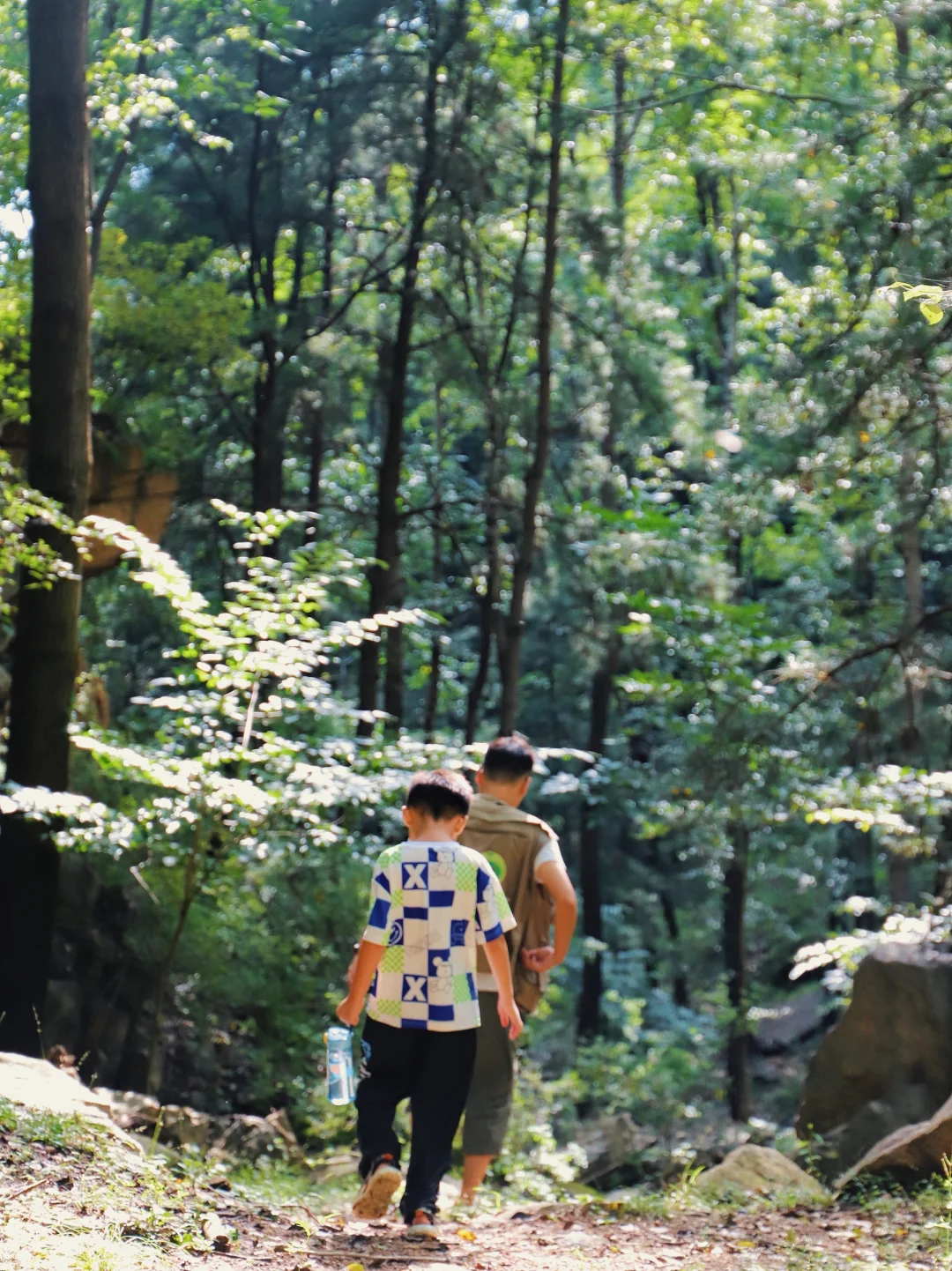 石家庄每周一山|爬过的32座山～溜娃攻略