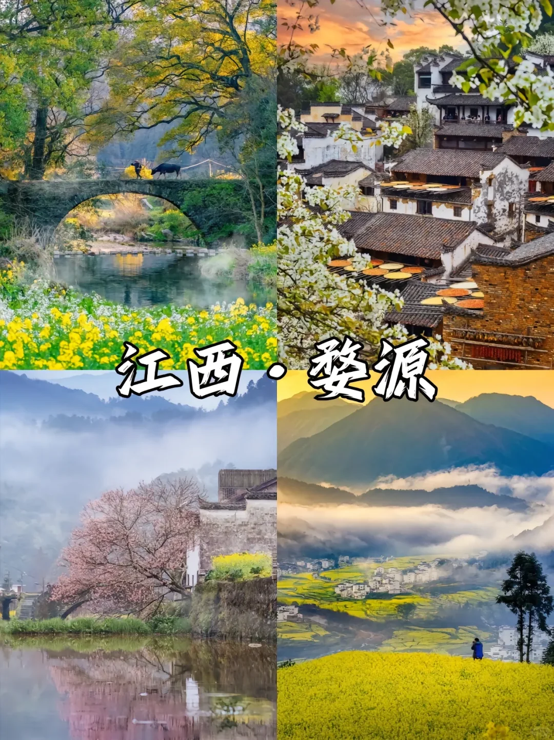 赏花漫游🖼️适合春季旅游的9️⃣座城市