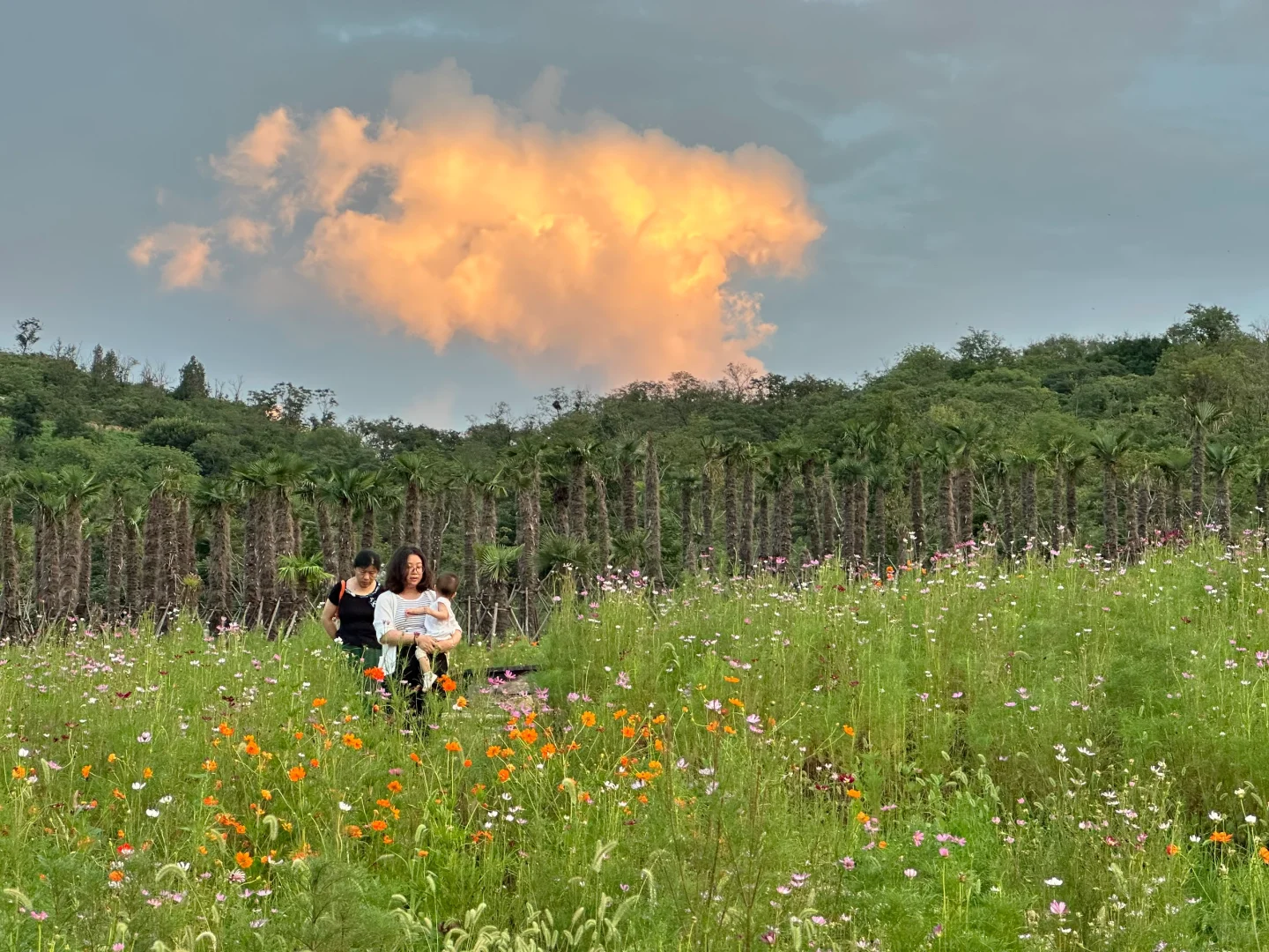 不用去新疆，枣庄也有自己的阿勒泰