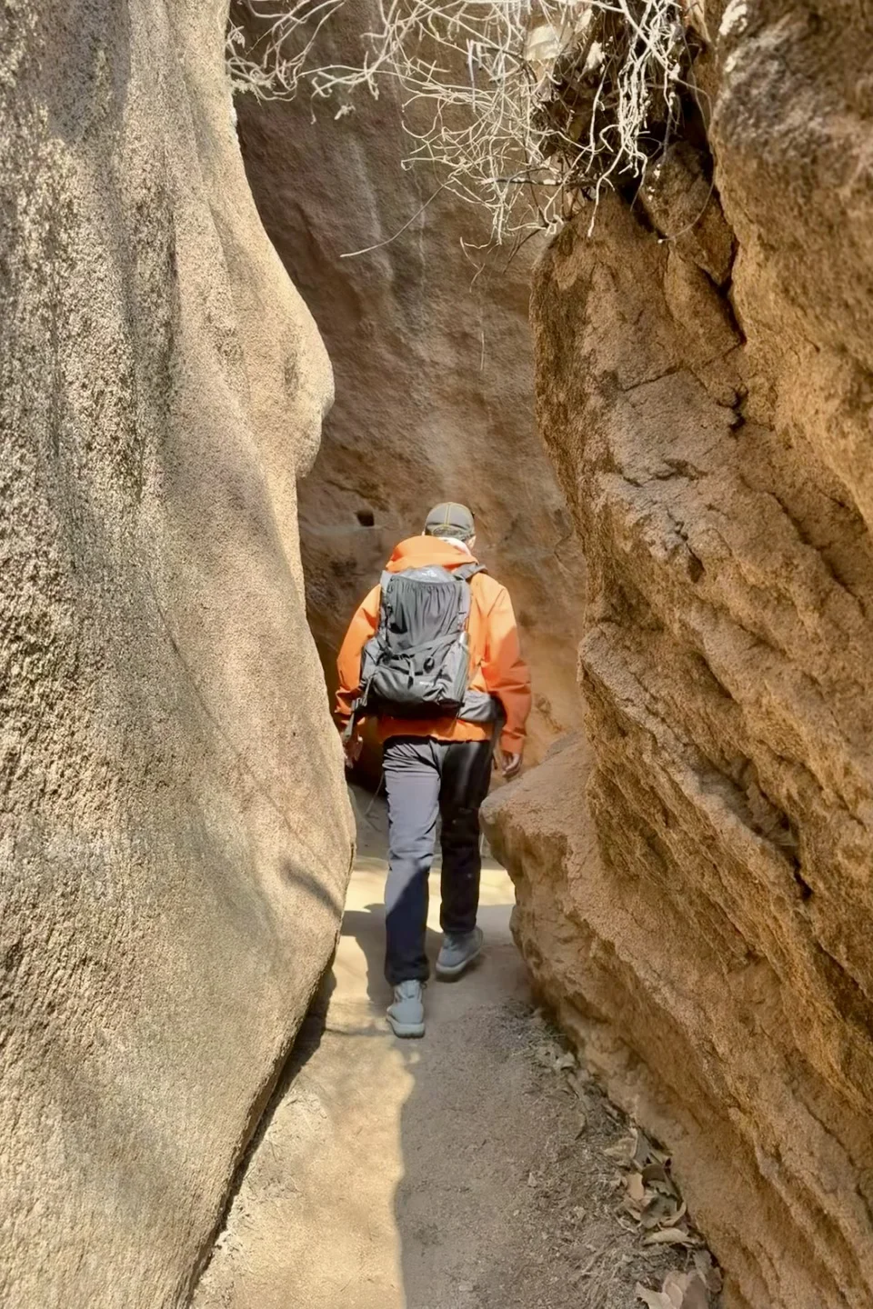 京郊1h🚙被严重低估的春游秘境🌳附攻略