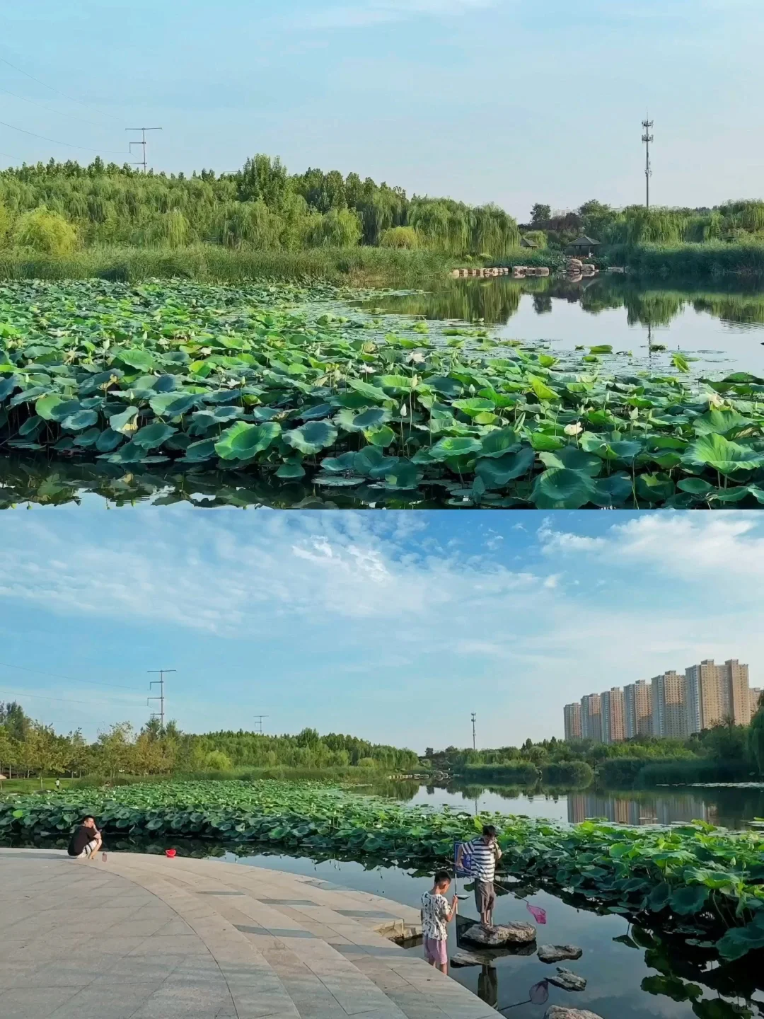 公园20分钟效应·邯郸植物园带来的松弛感🌲