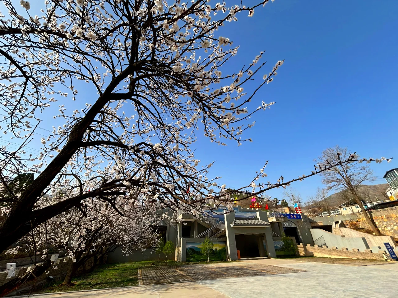 我在邯郸上春山，去天宝寨就看这篇攻略！