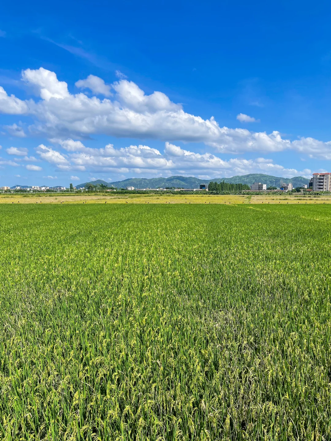 揭阳蜡蜡嗦🚶‍♂️避开市区人挤人的City Walk
