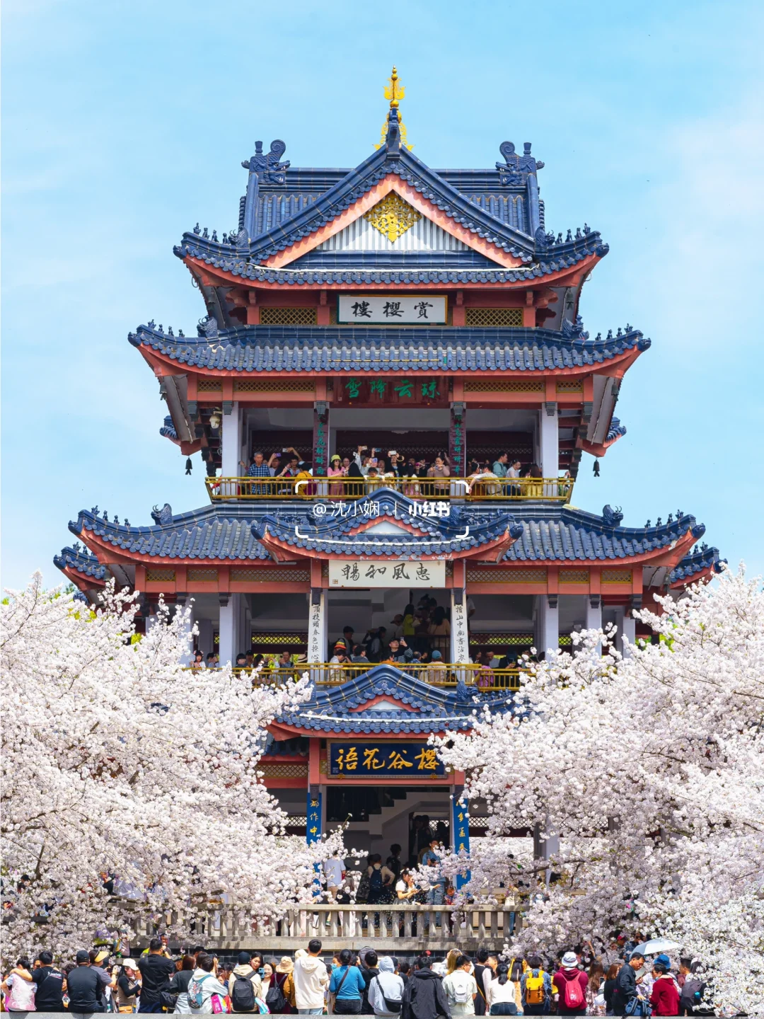 刚从无锡鼋头渚回来，能劝一个是一个‼️