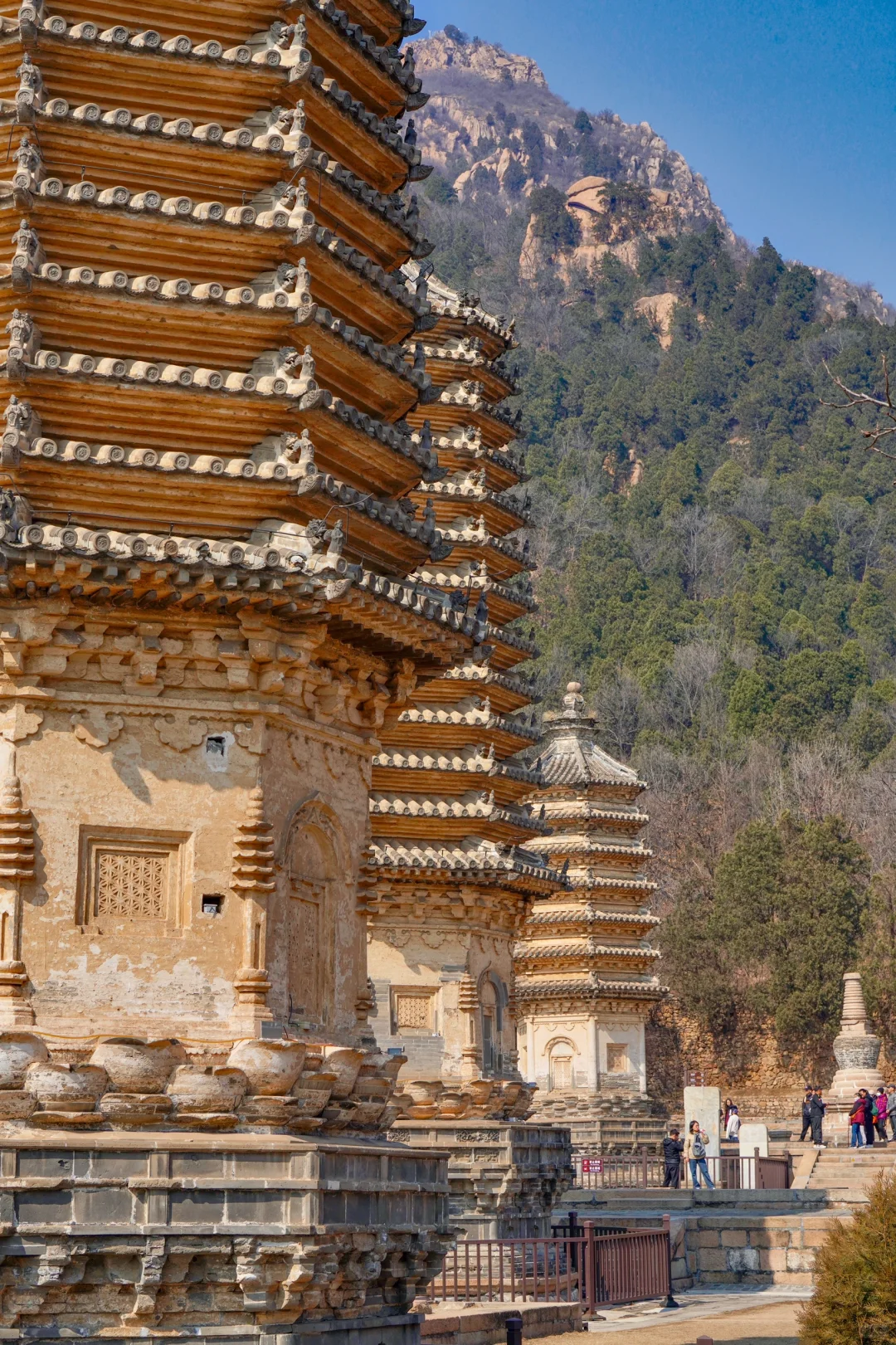 京郊1h🚙被严重低估的春游秘境🌳附攻略