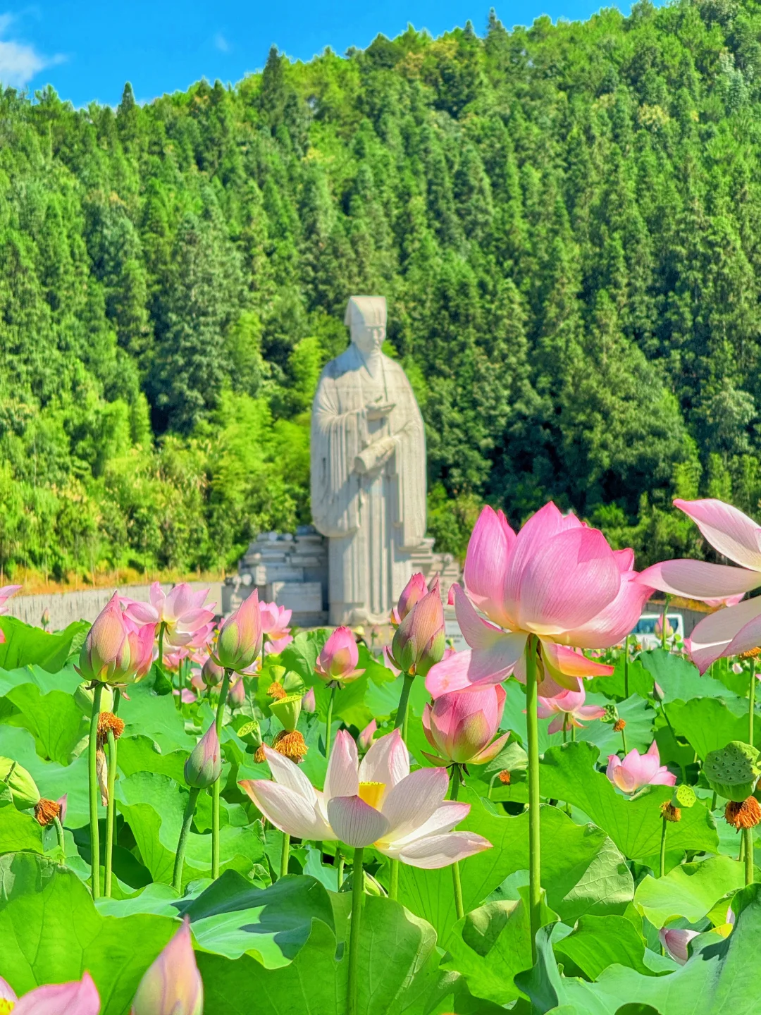 本以为西湖已经够美了，直到来了这里…………