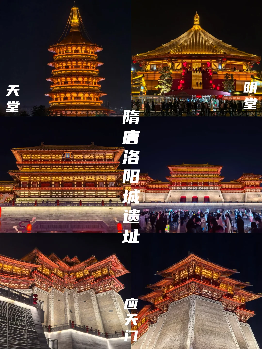 牡丹待放🌸｜洛阳还有这些地方穿越千年