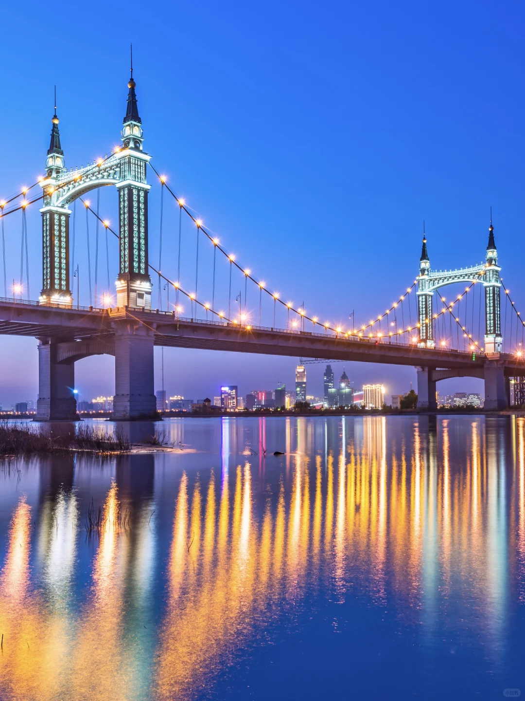 谁说哈尔滨只属于冬季！夏天能避暑还好玩