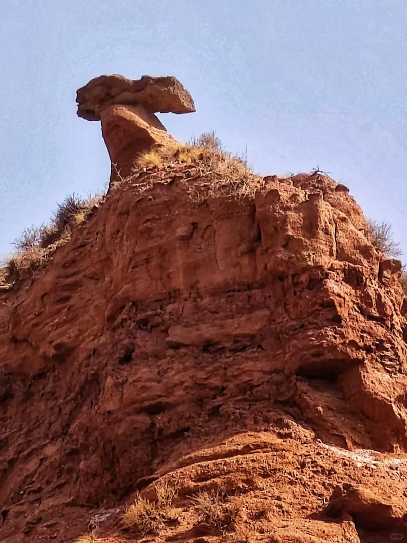 温宿大峡谷包车一日游?解锁峡谷极致风光!