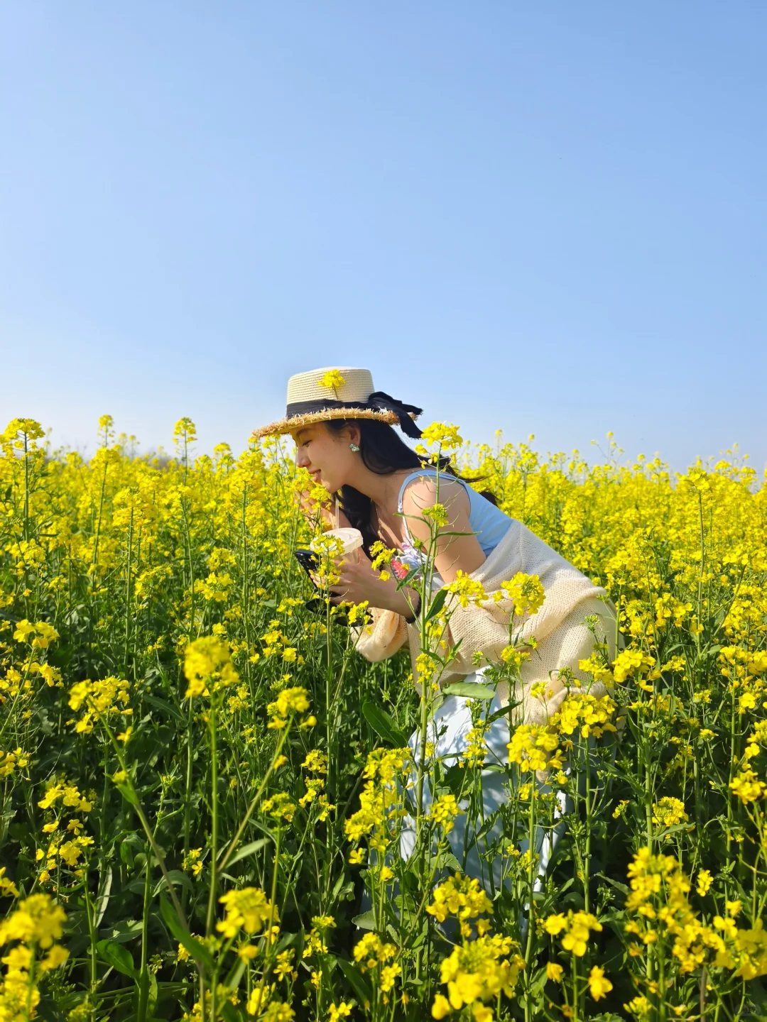 一眼万年的油菜花海🍃